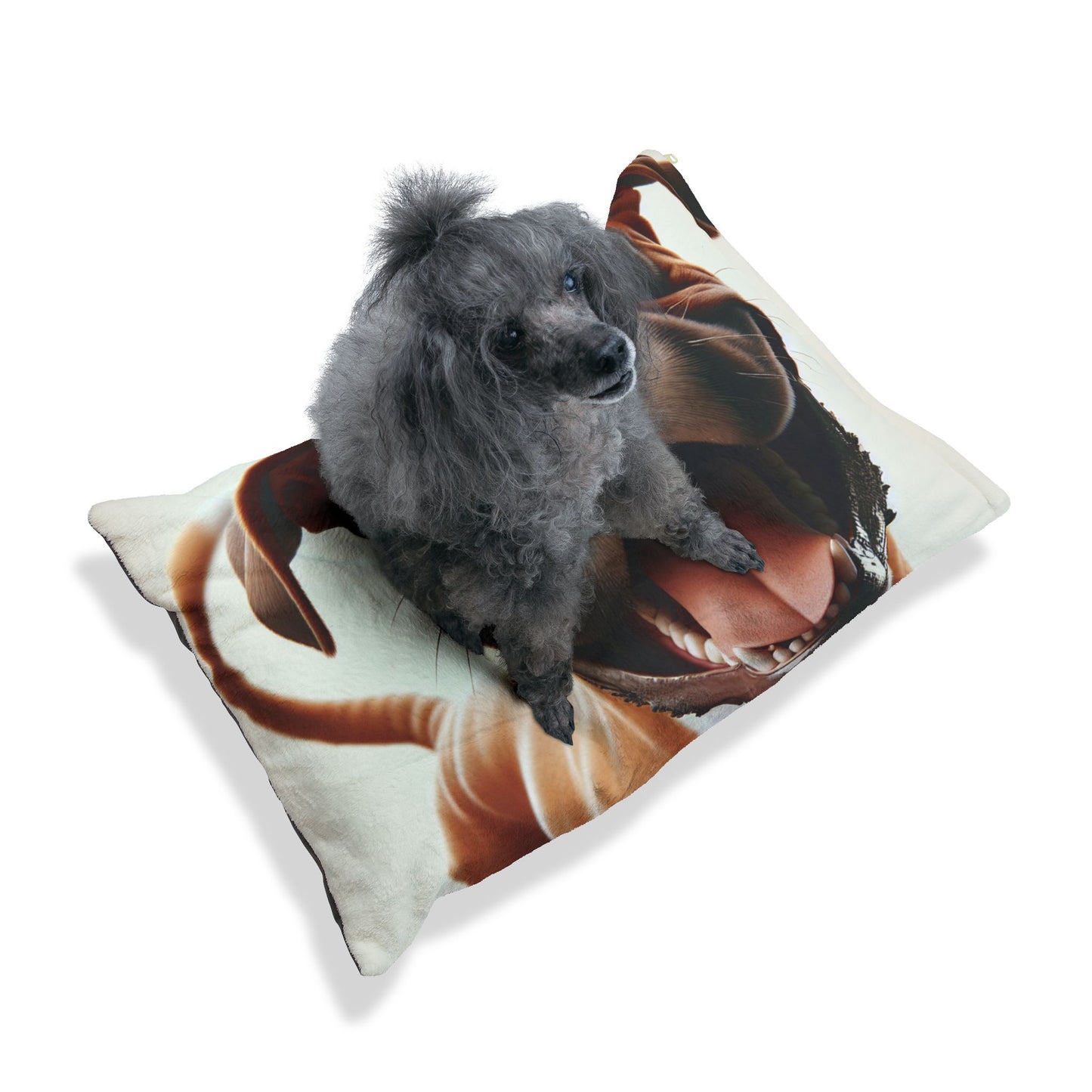 Boxer Pet Bed