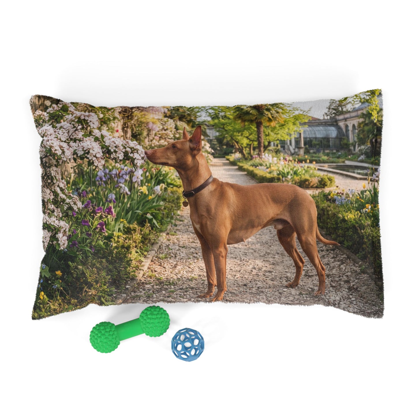 Cirneco dell'Etna Pet Bed