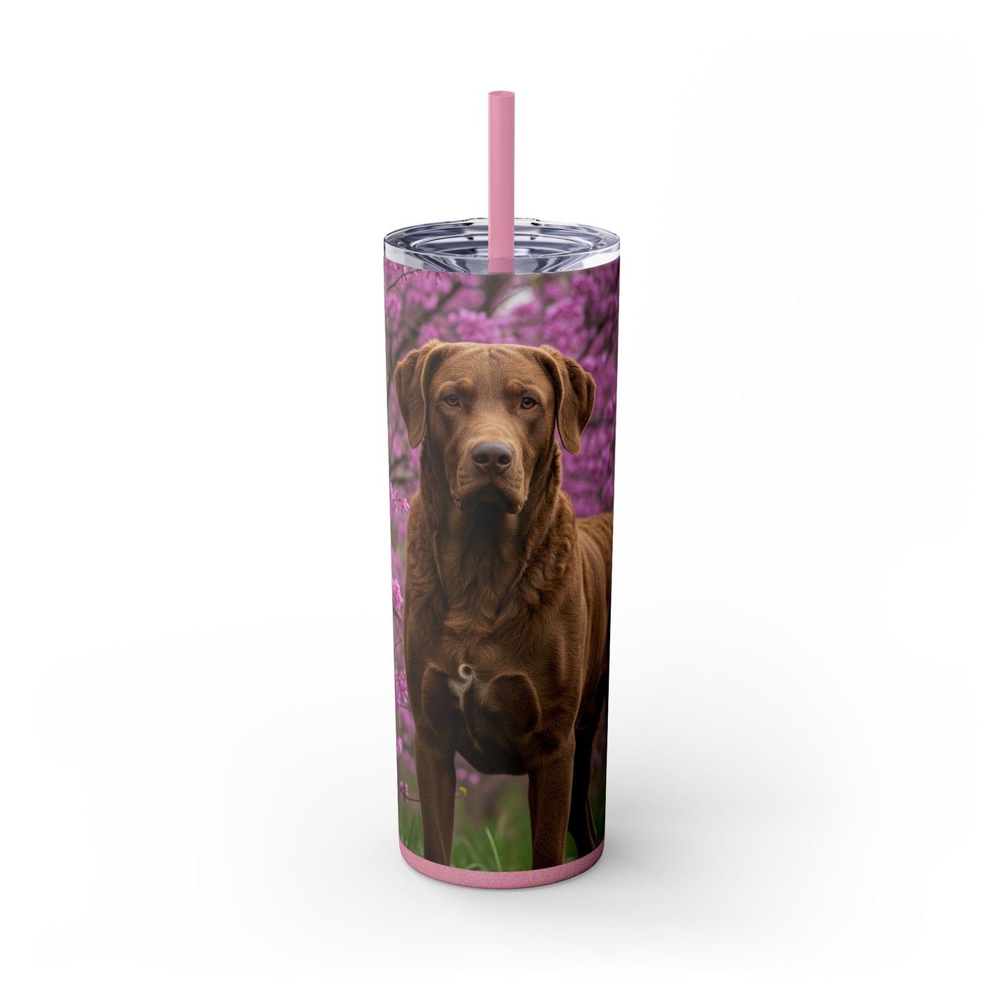 Gobelet isotherme Chesapeake Bay Retriever avec paille, 590 ml