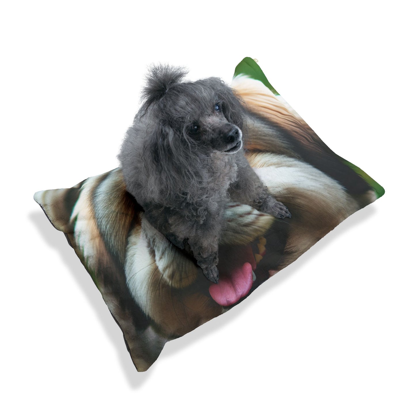 Tibetan Kyi Apso Pet Bed