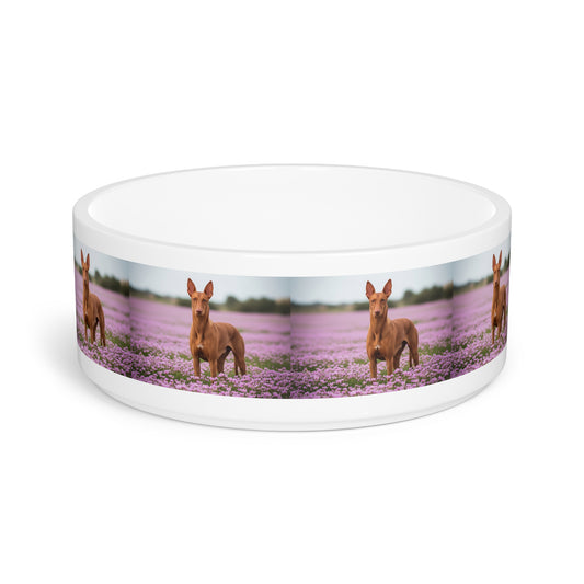 Pharaoh Hound Pet Bowl