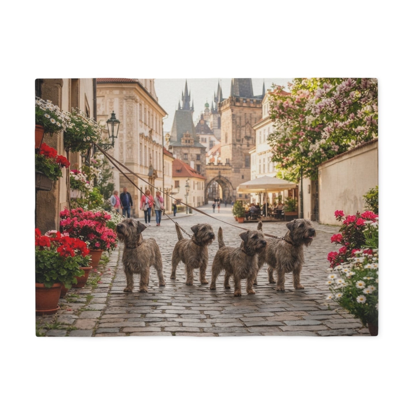 Cesky Terrier Blanket