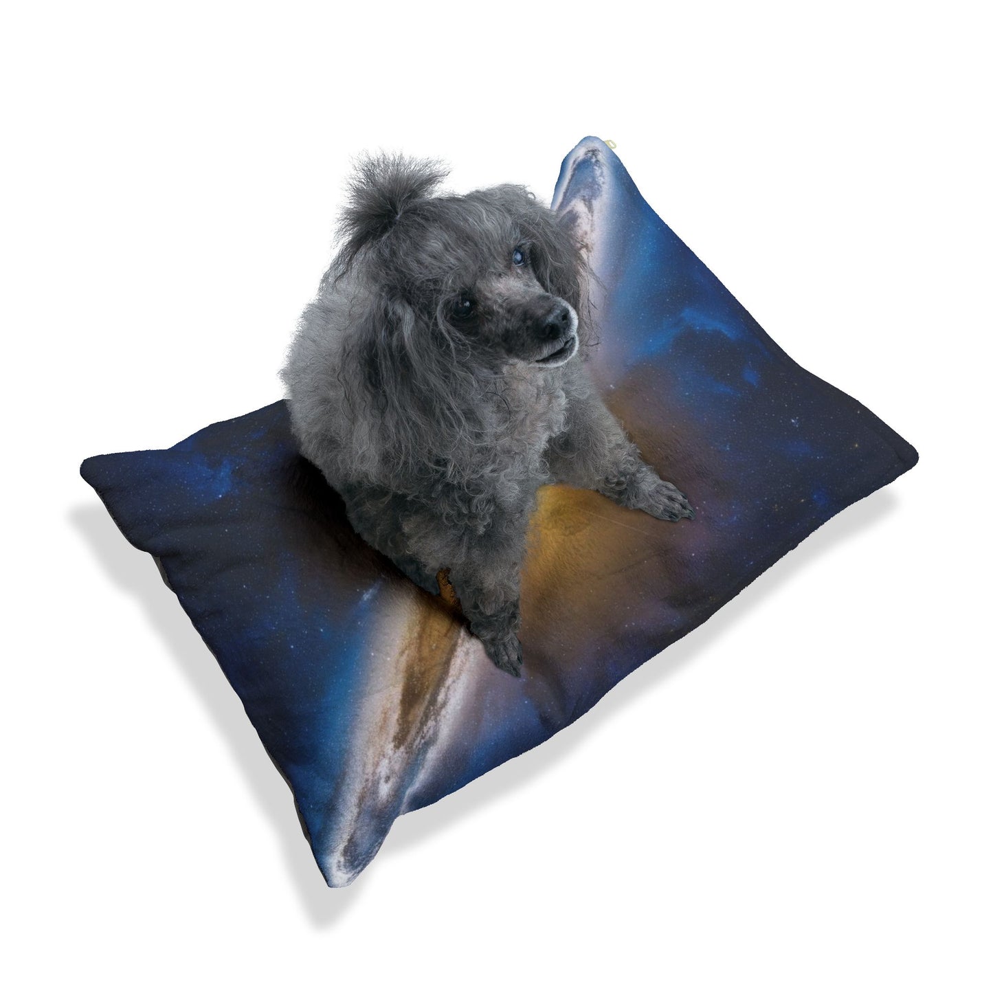 North Star Pet Bed