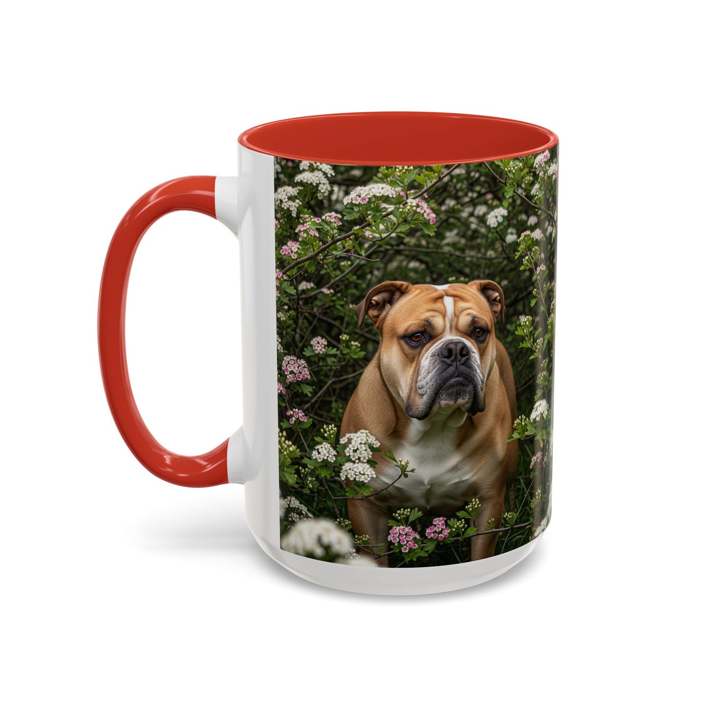 Mug à café Olde English Bulldogge Accent - Cadeau idéal pour les amoureux des chiens