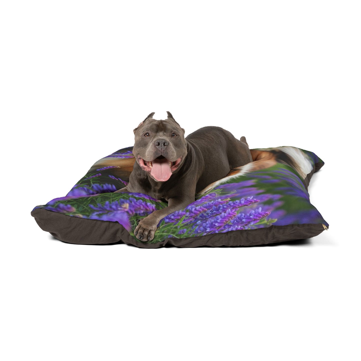 Cama para mascotas Shetland Sheepdog