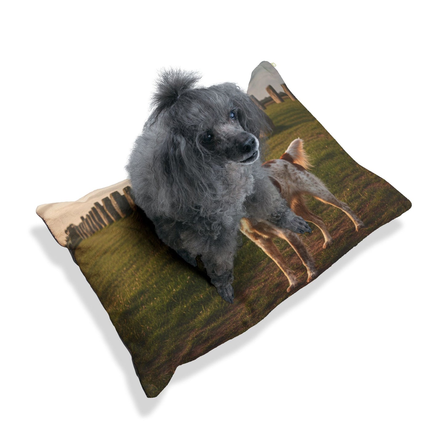 Brittany Spaniel Pet Bed