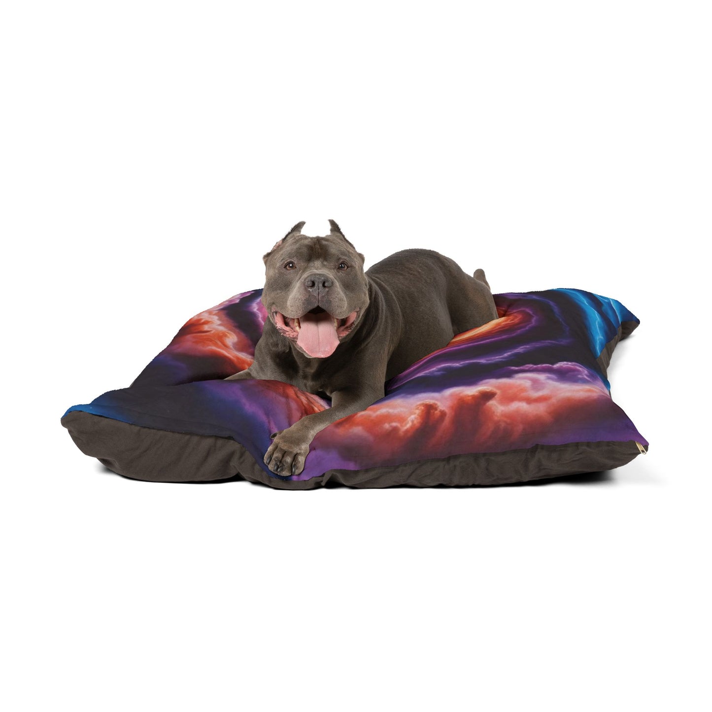 Optical Illusion Pet Bed