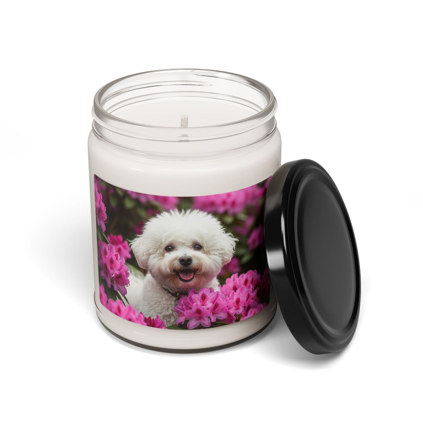 Bougie parfumée au soja Bichon Frisé, 255 g 