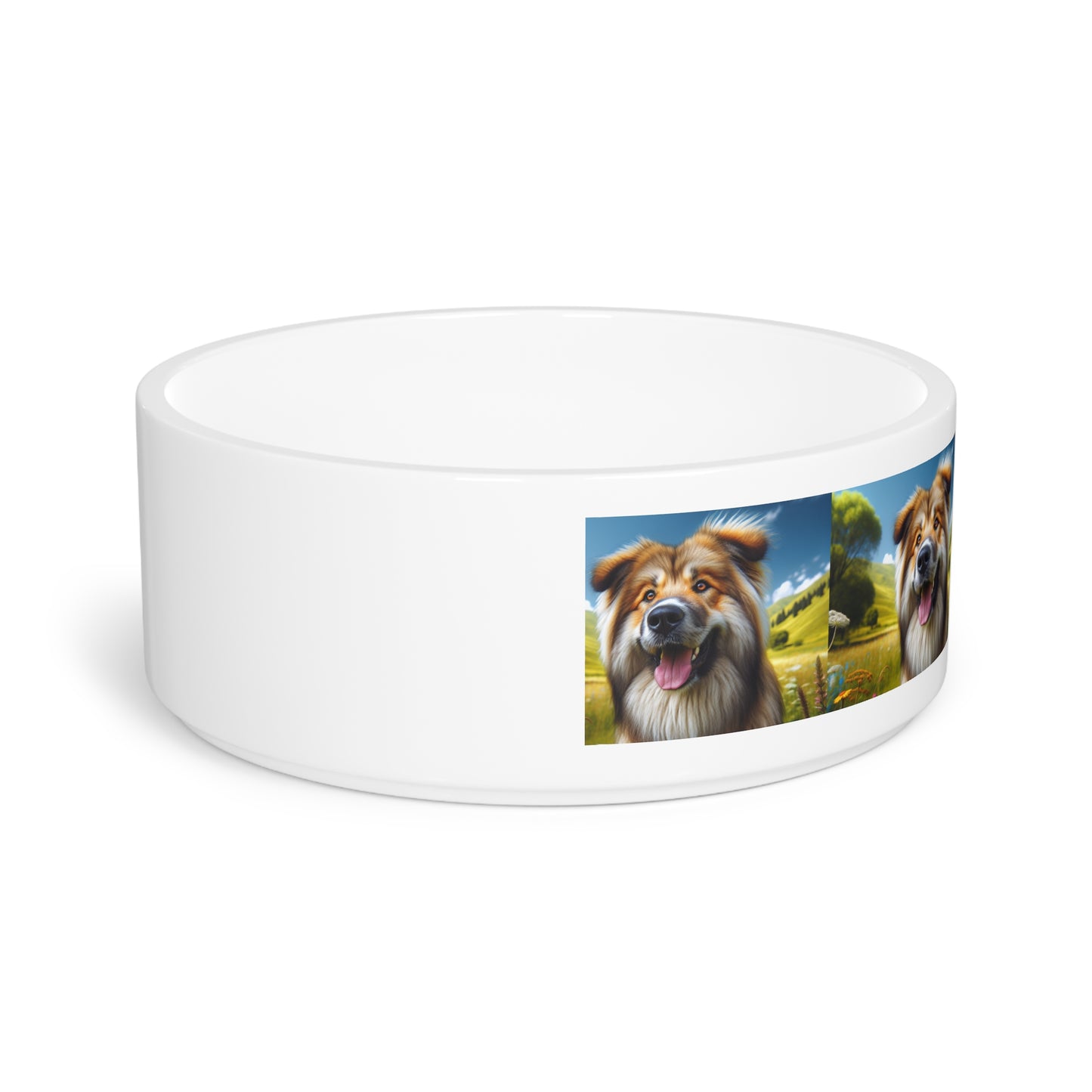 Bakharwal Pet Bowl