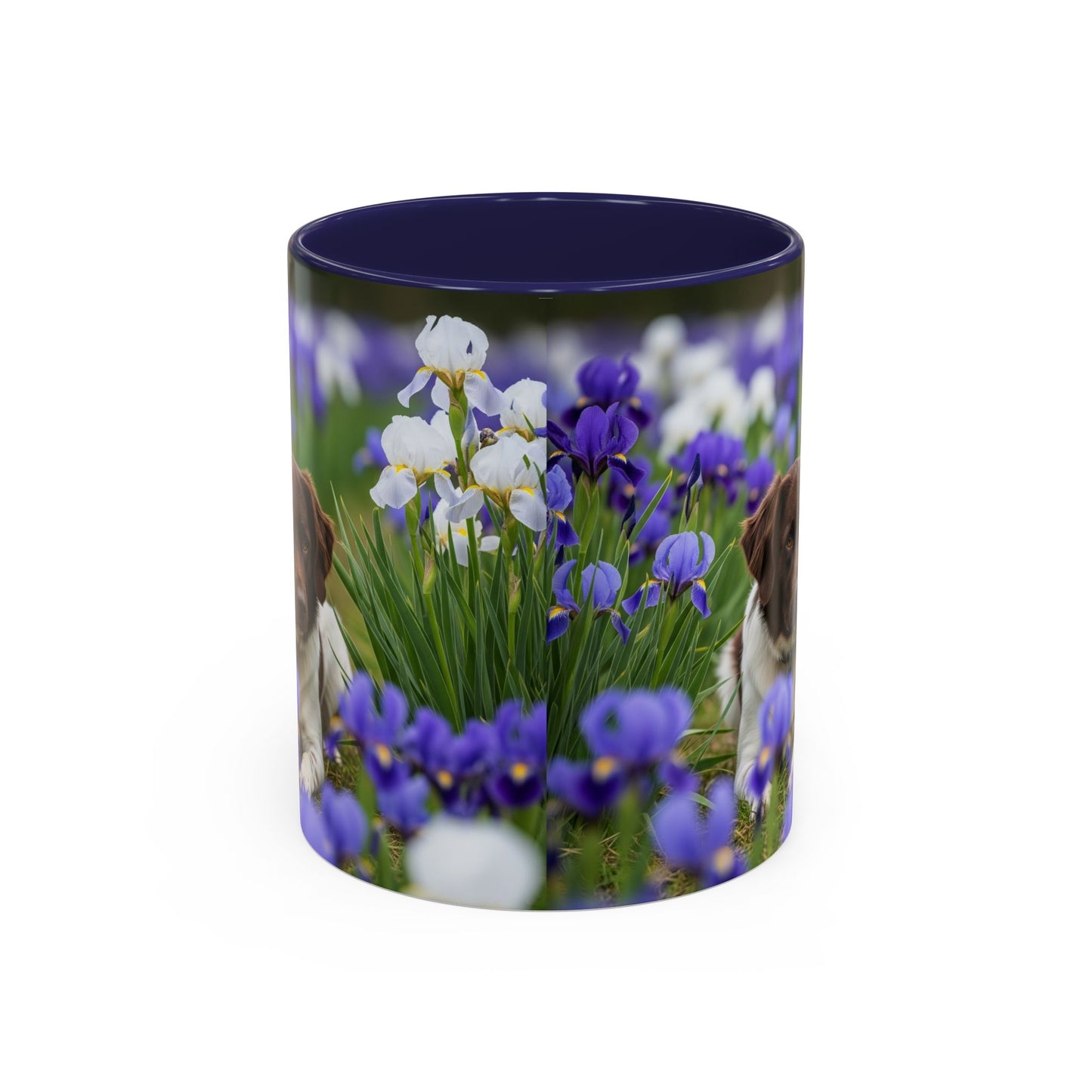 Mug Stabyhouns Accent - Cadeau idéal pour les amoureux des chiens