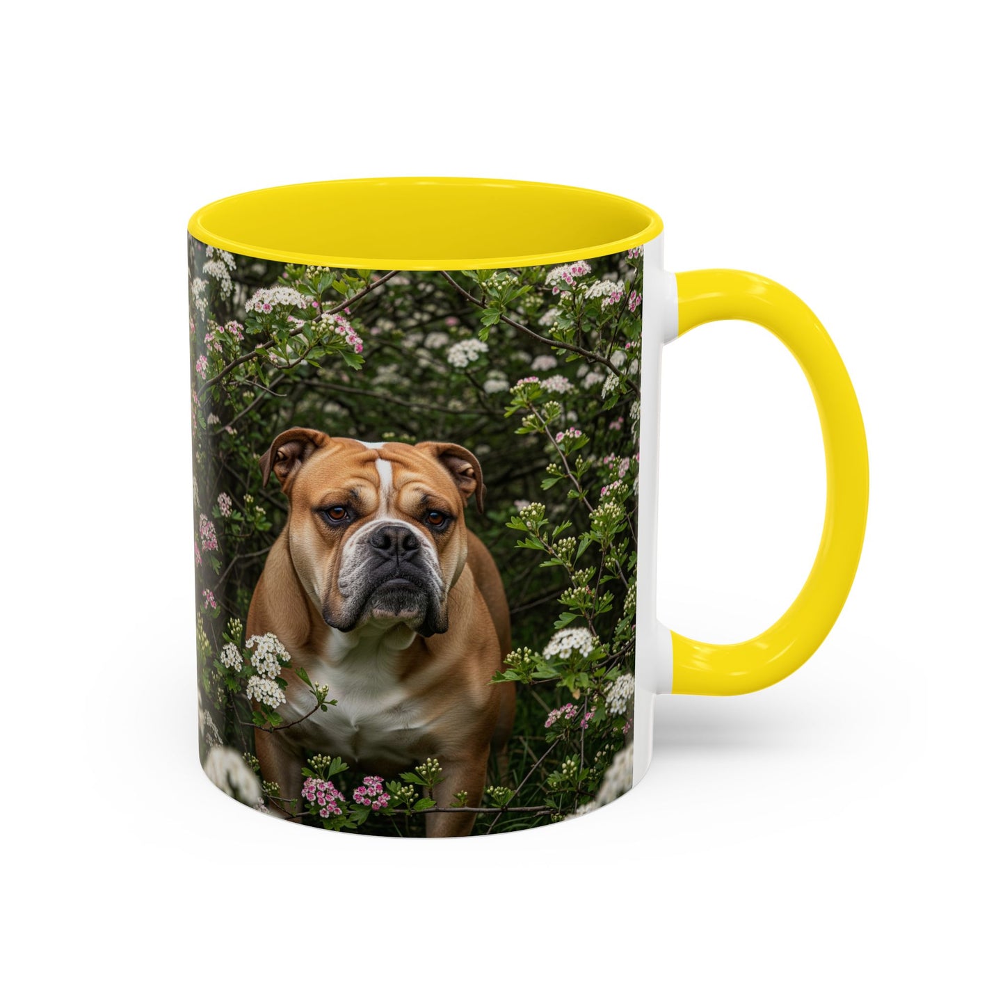 Mug à café Olde English Bulldogge Accent - Cadeau idéal pour les amoureux des chiens