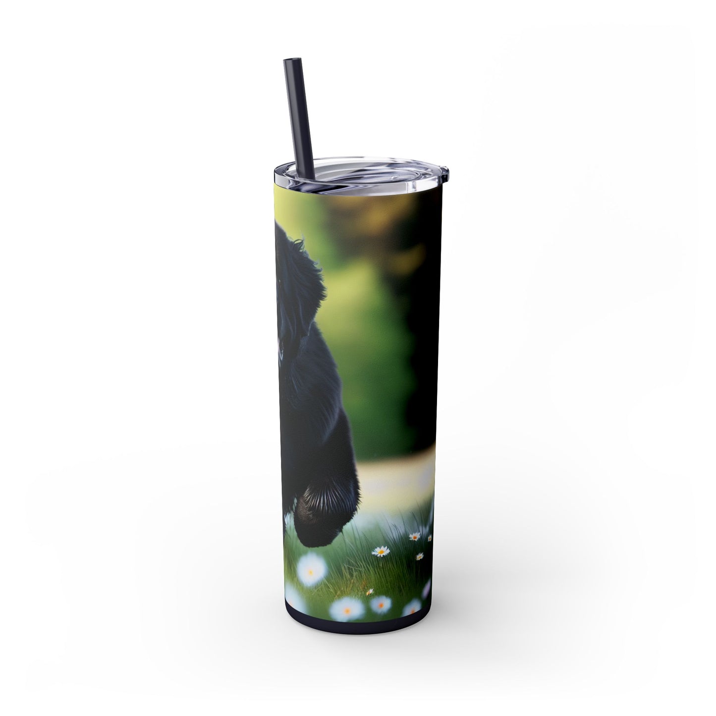 Newfoundland Skinny Tumbler with Straw, 20oz