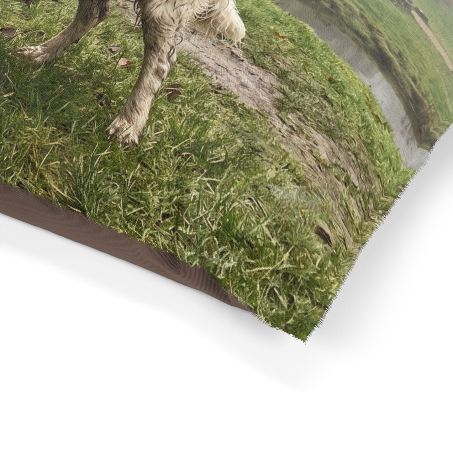 English Water Spaniel Pet Bed