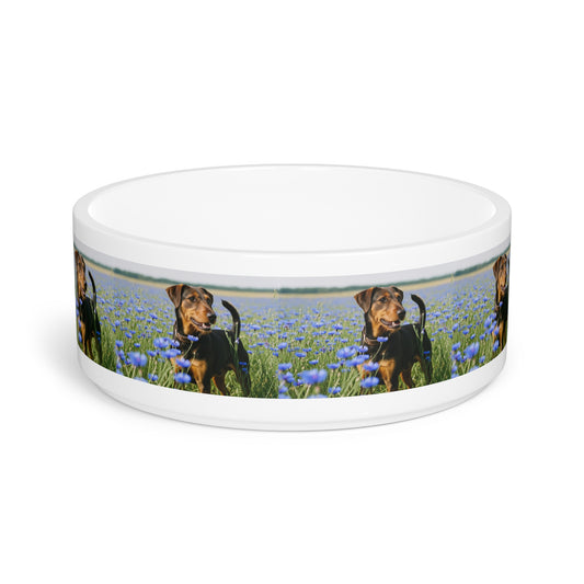 Deutscher Jagdterrier Pet Bowl