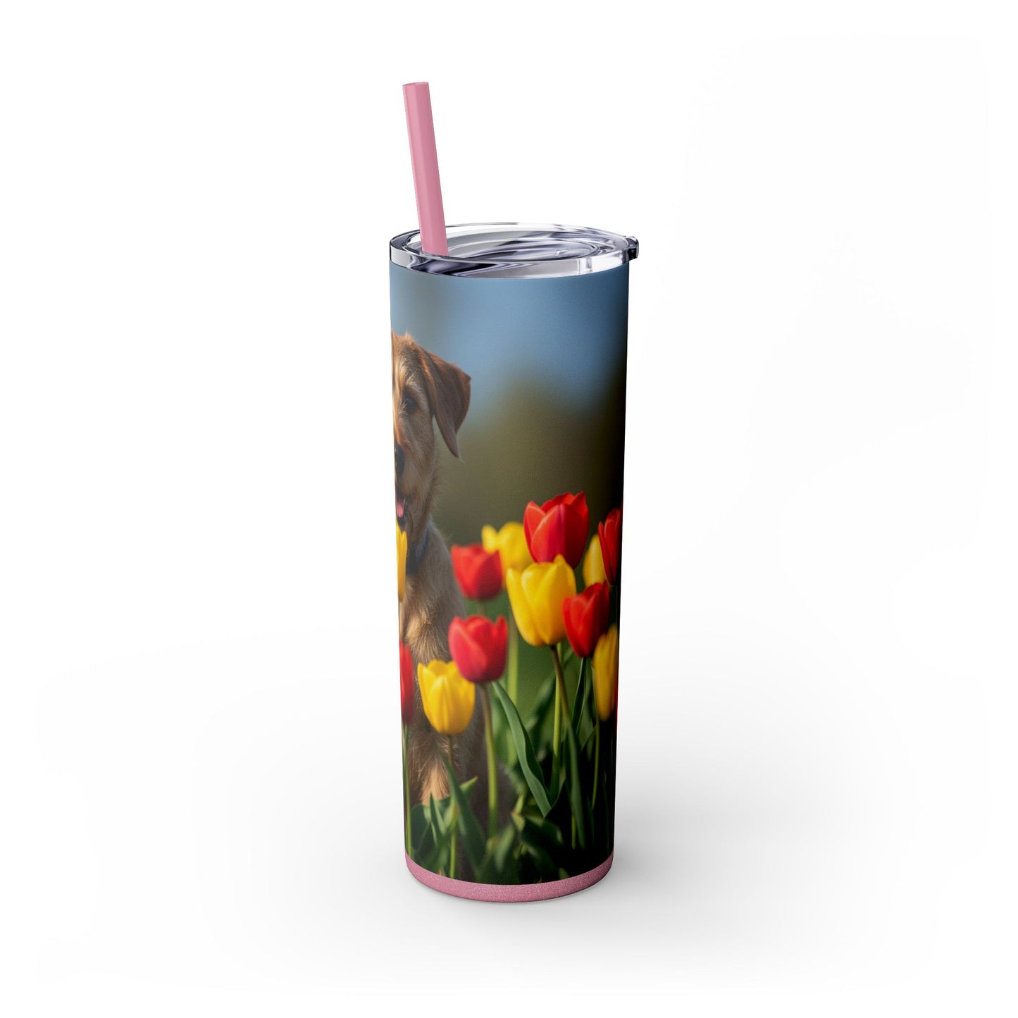 Pumi Skinny Tumbler with Straw, 20oz