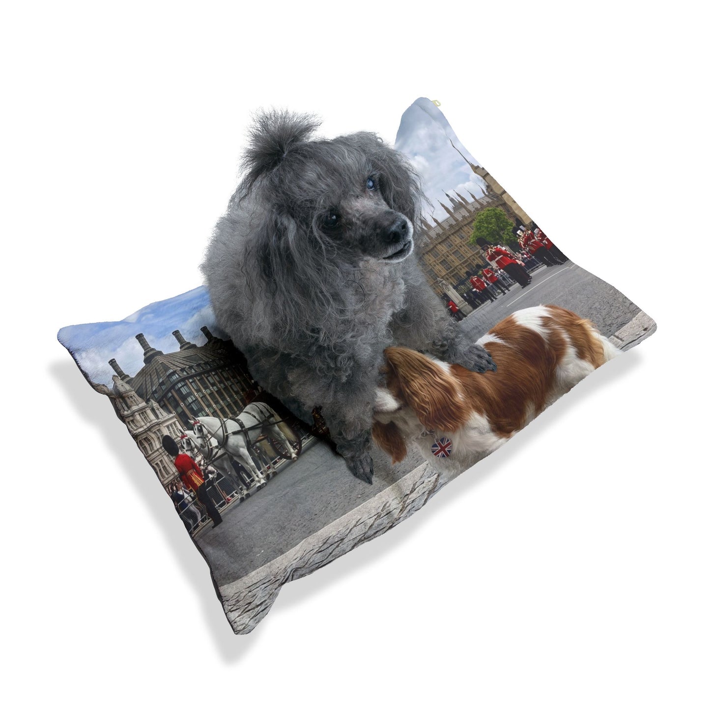 Cavalier King Charles Pet Bed