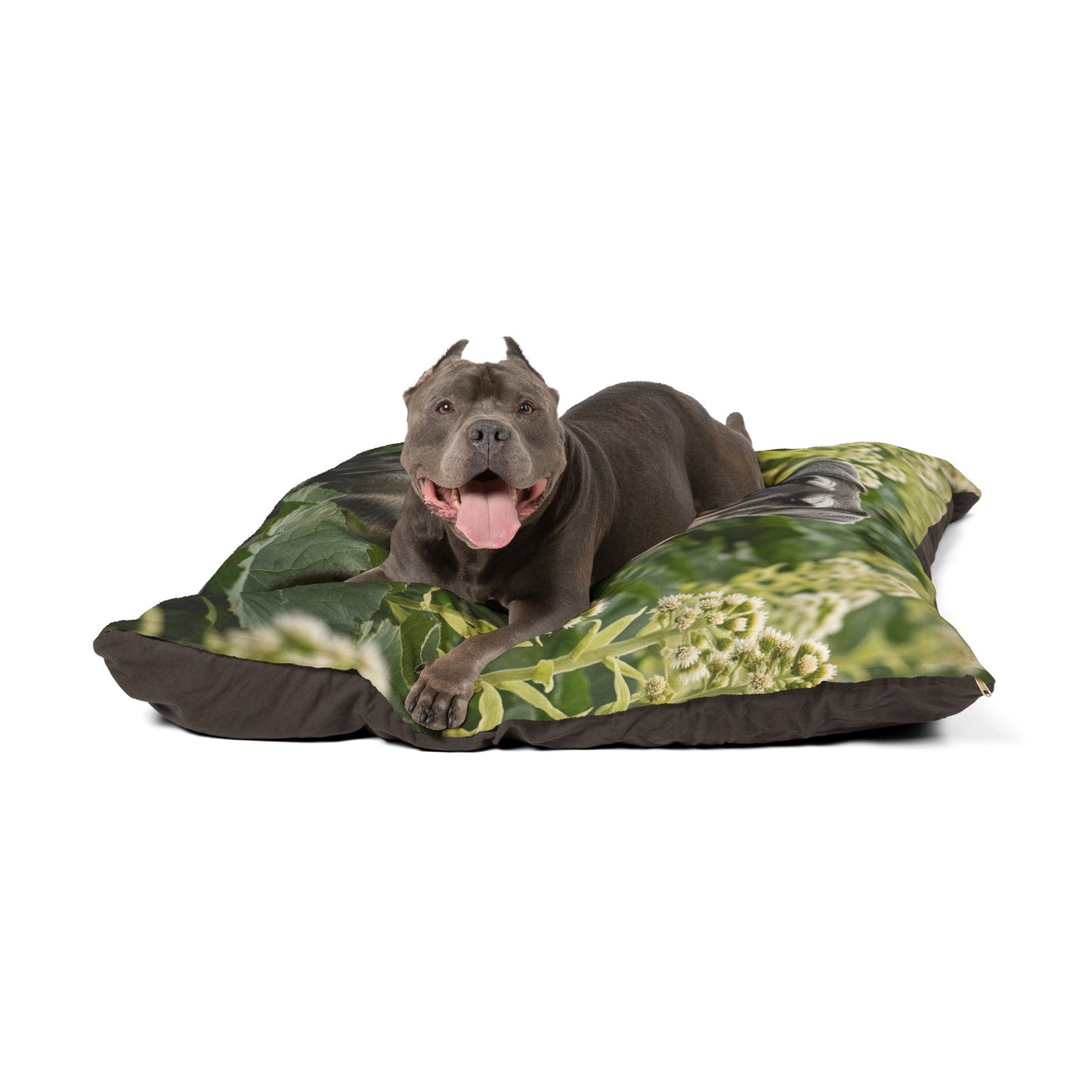 Cama para mascotas Schnauzer estándar