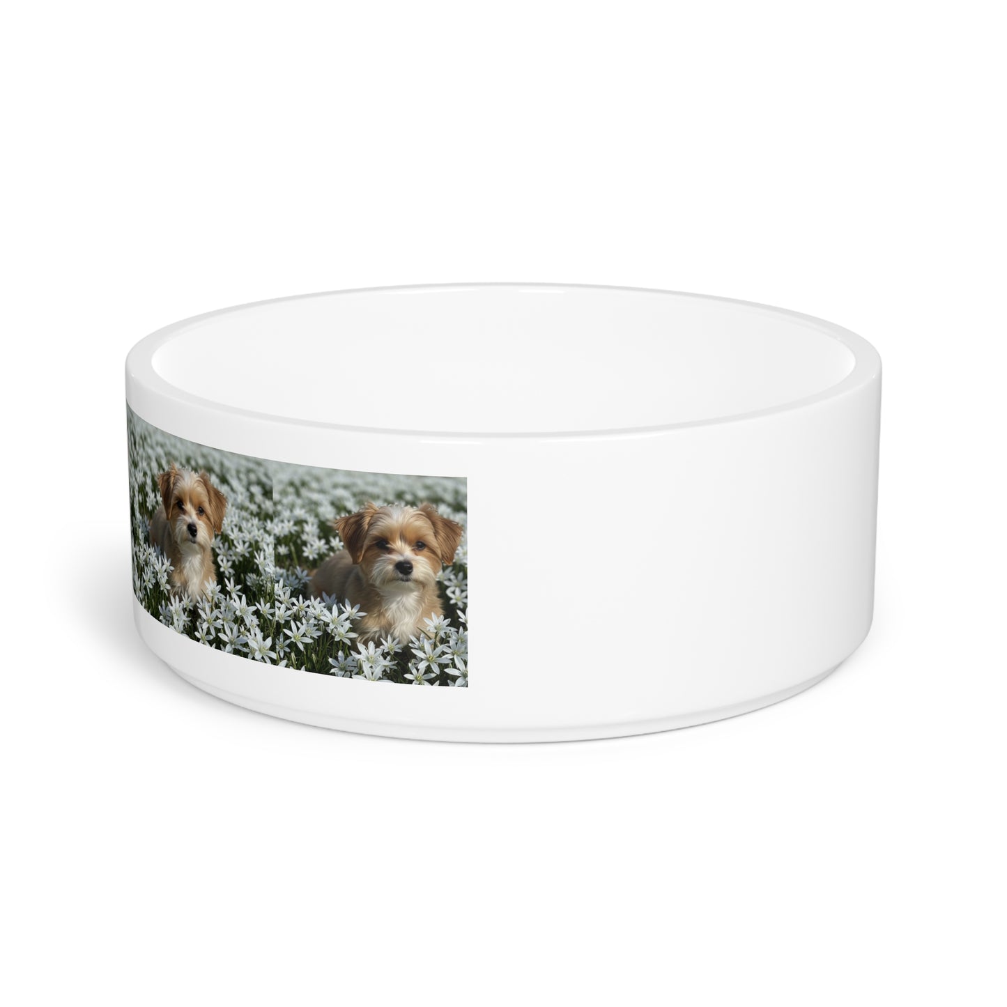 Ceramic Pet Bowl – 16 oz Dog Feeding Bowl