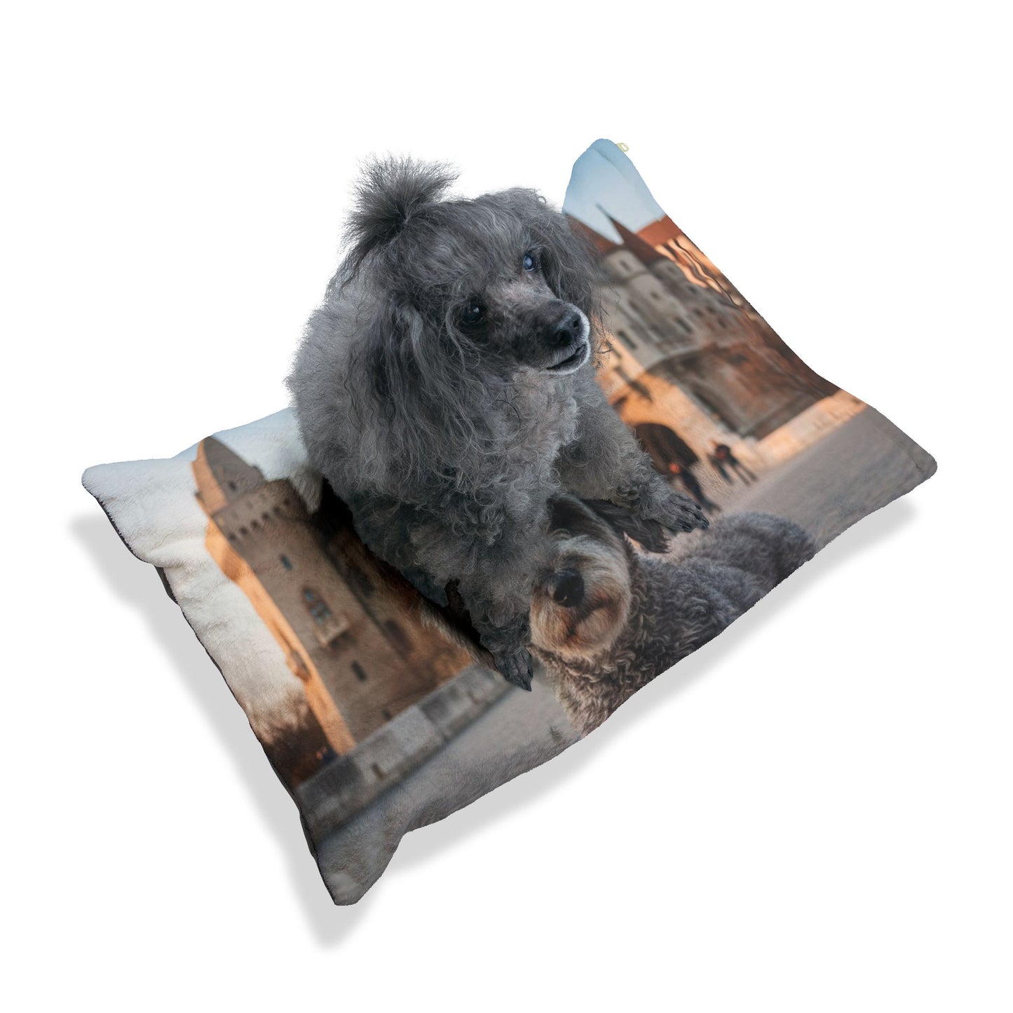 Pumi Pet Bed