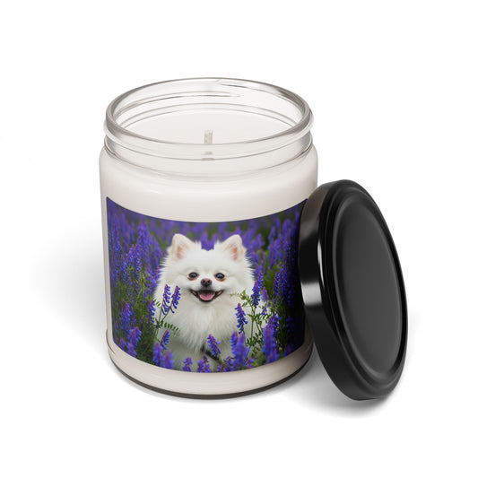 Pomeranian- Scented Soy Candle, 9oz