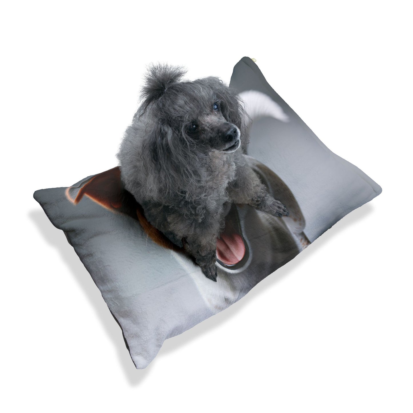 Kromfohrlander Pet Bed