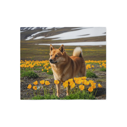 Norwegian Buhund Sweatshirt Blanket