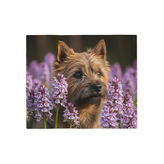 Cairn Terrier Sweatshirt Blanket