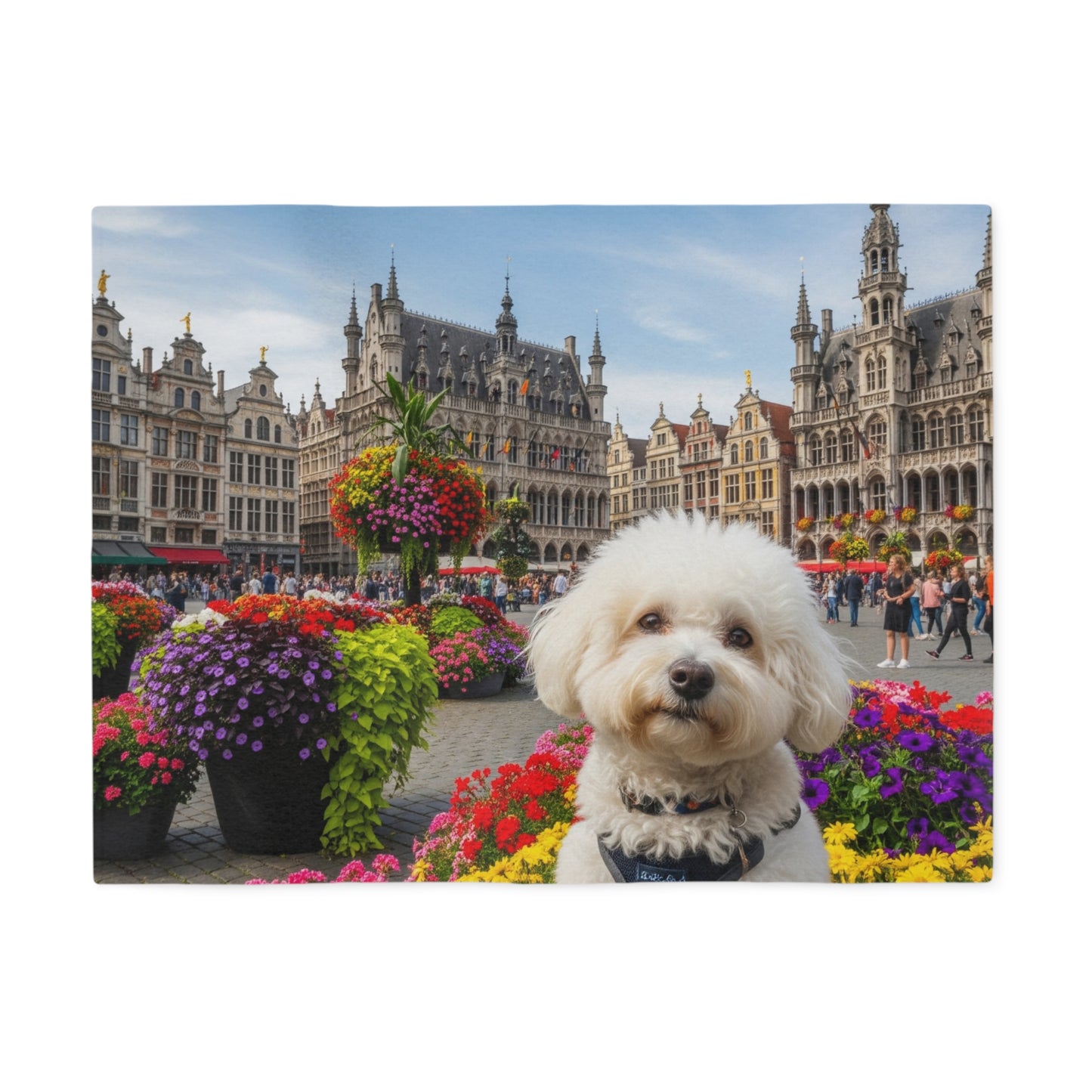 Bichon Frise Blanket