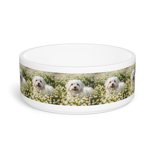 Havamalt Pet Bowl