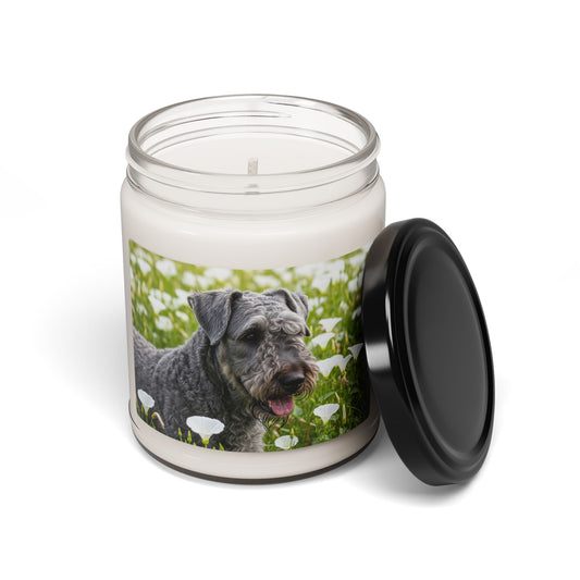 Kerry Blue Terrier- Scented Soy Candle, 9oz