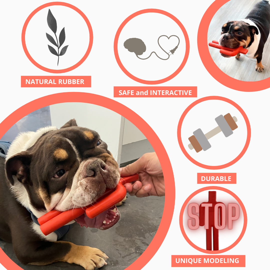 Jouet à mâcher pour chien