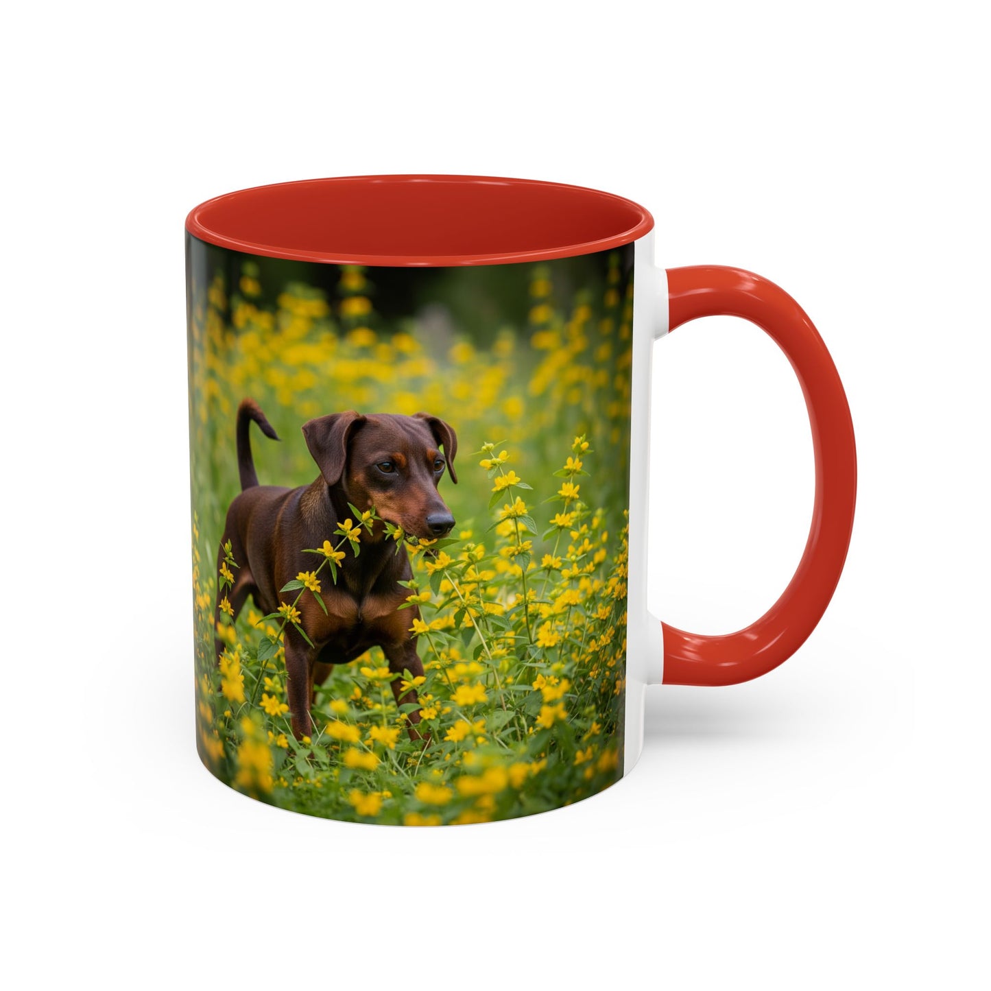 German Pinscher Accent Coffee Mug - Perfect Gift for Dog Lovers