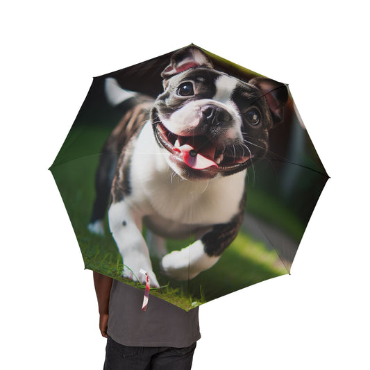 Frenchton Semi-Automatic Foldable Umbrella