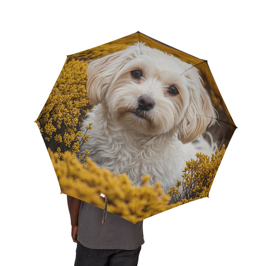 Maltipoo Semi-Automatic Foldable Umbrella