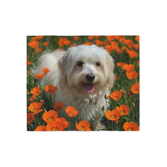 Havanese Sweatshirt Blanket