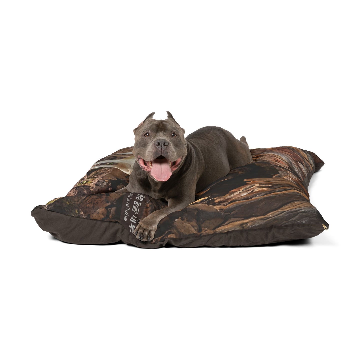 Korean Jindo Dog Pet Bed