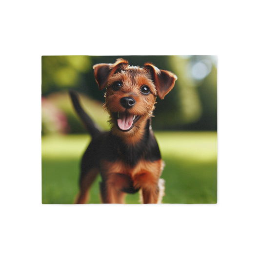 Deutscher Jagdterrier Sweatshirt Blanket