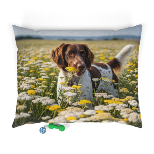 Drentsche Patrijshond Pet Bed