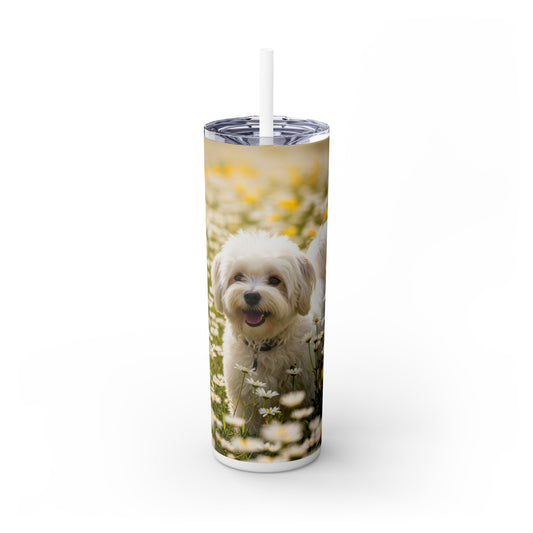 Lowchen Skinny Tumbler with Straw, 20oz