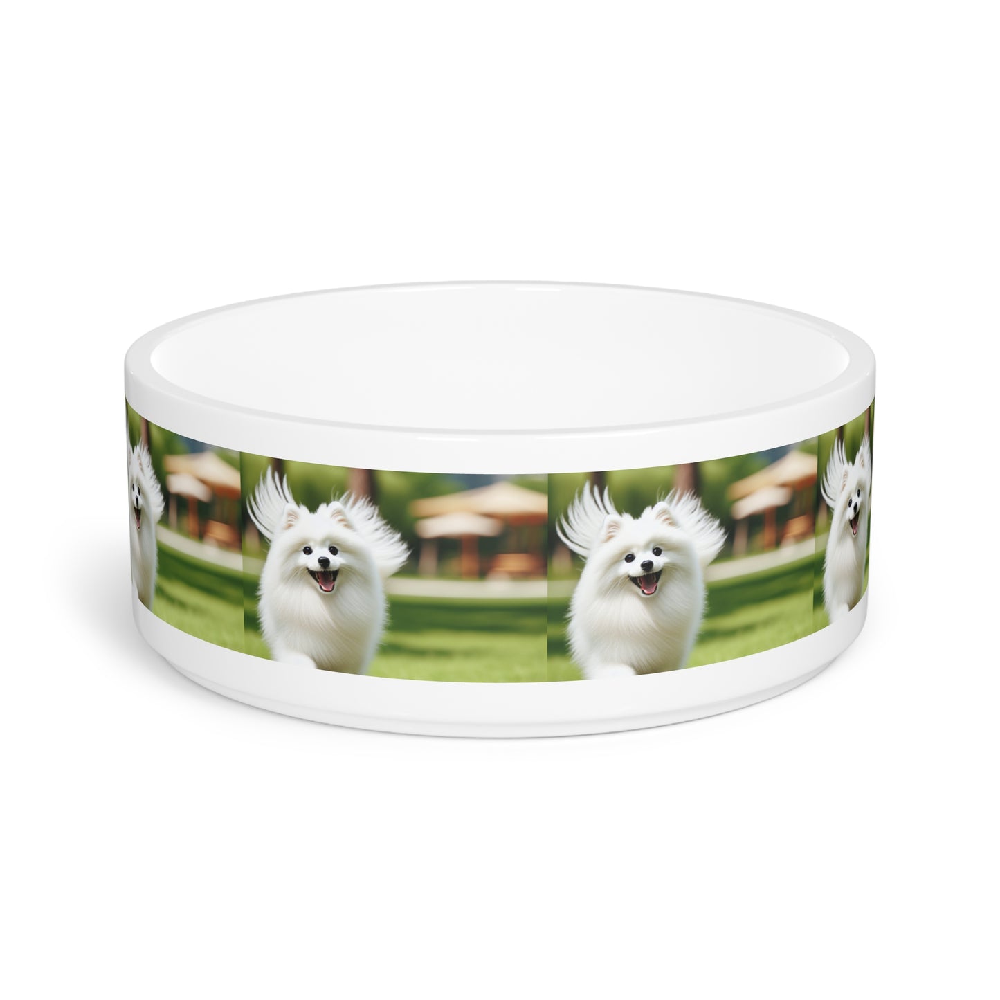 Japanese Spitz Pet Bowl