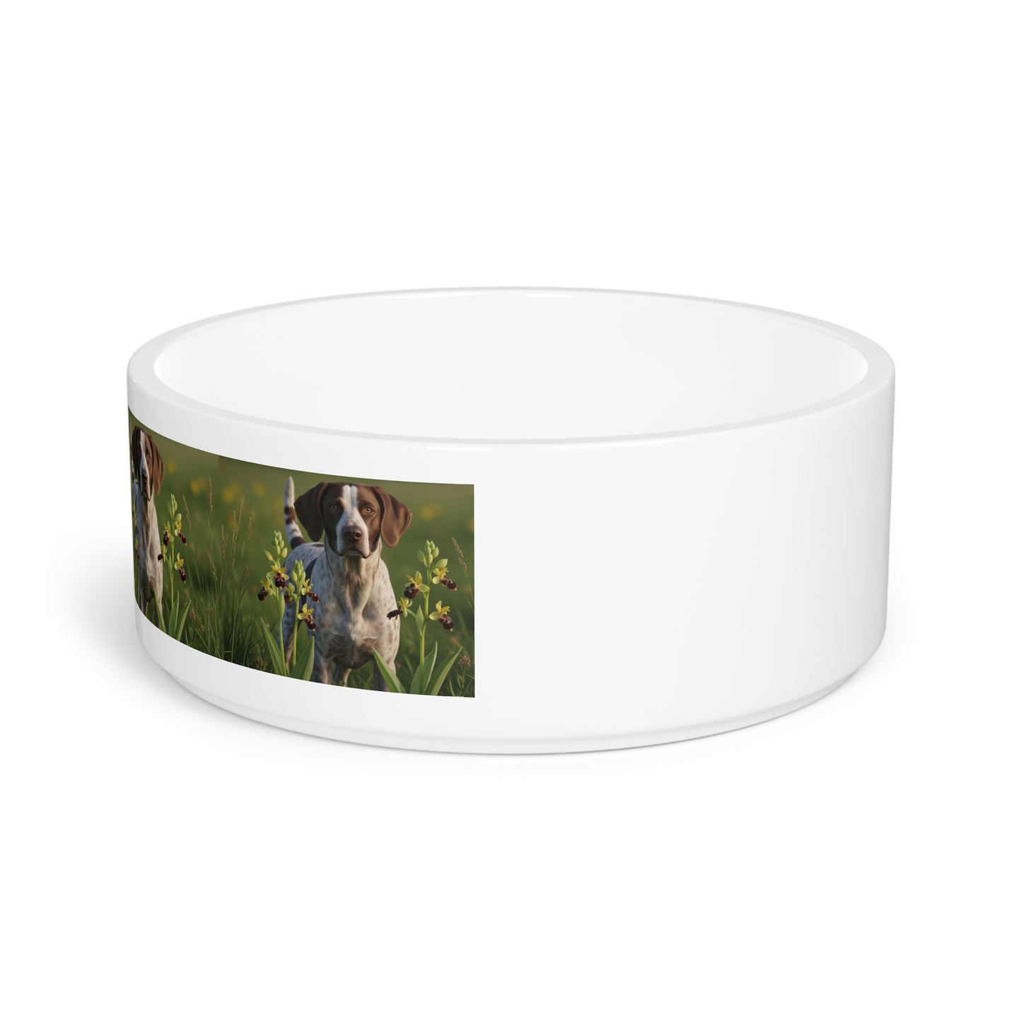 Slovensky Kopov Pet Bowl