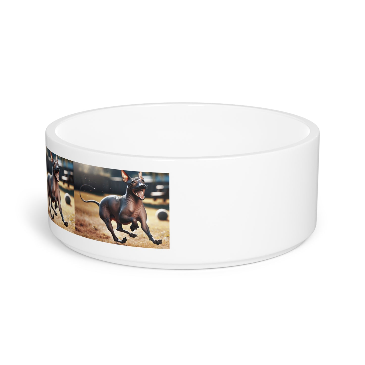 American Hairless Terrier Pet Bowl