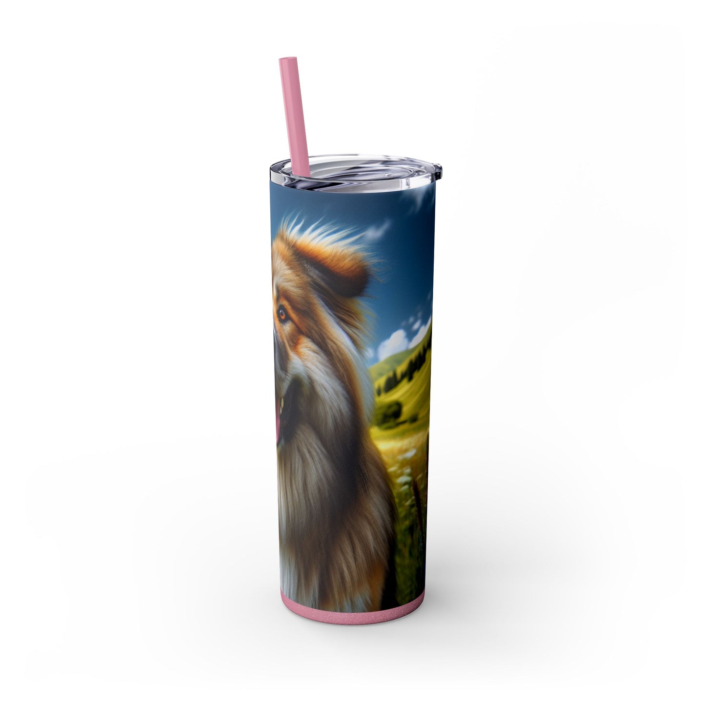 Bakharwal Tumbler with Straw, 20oz