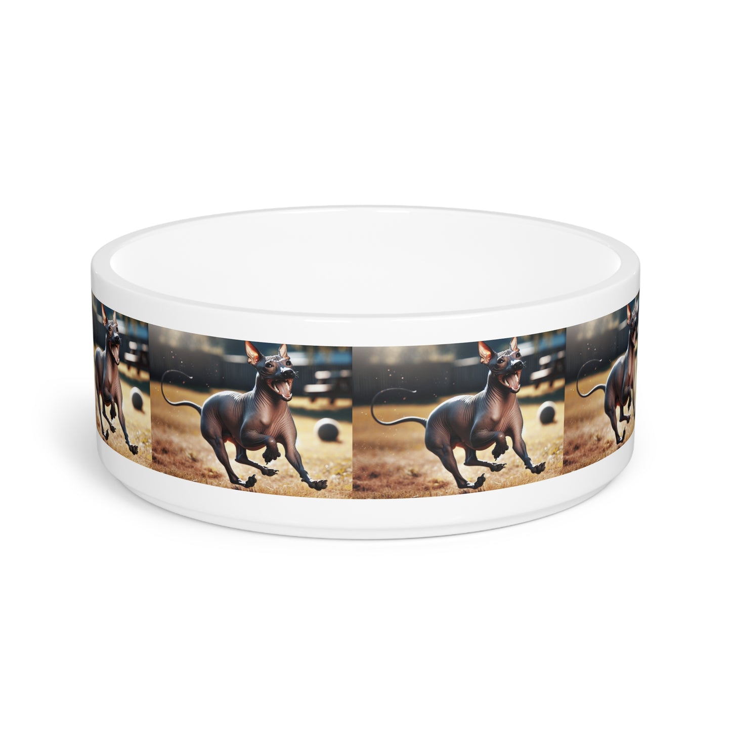 American Hairless Terrier Pet Bowl