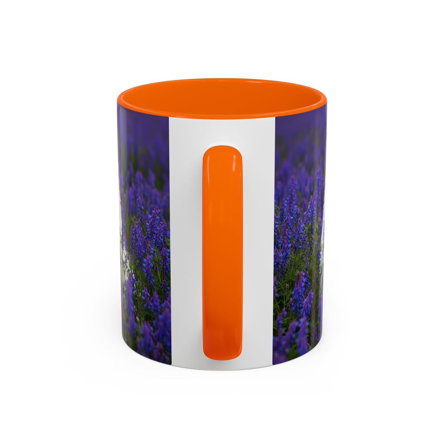 Mug à café avec motif Poméranien - Le cadeau idéal pour les amoureux des chiens