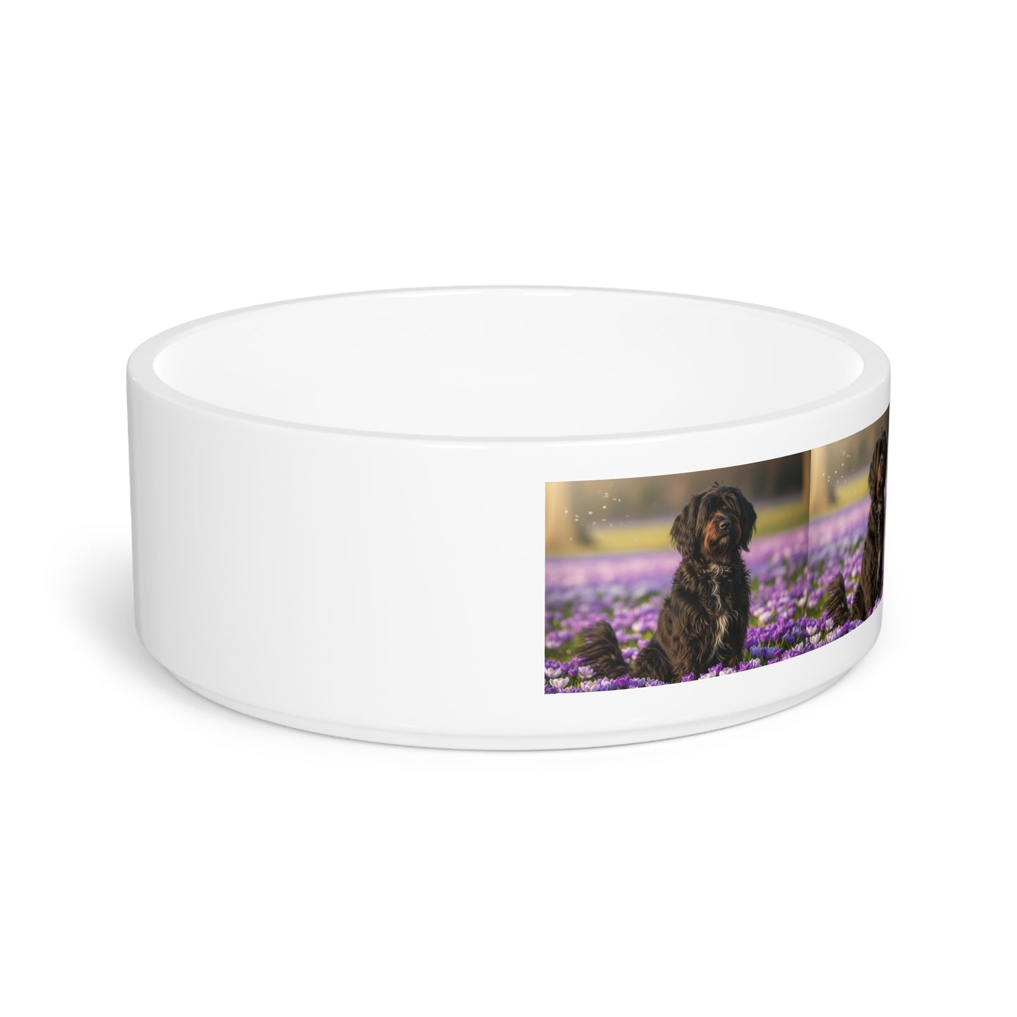 Gamelle pour animaux Schapendoes