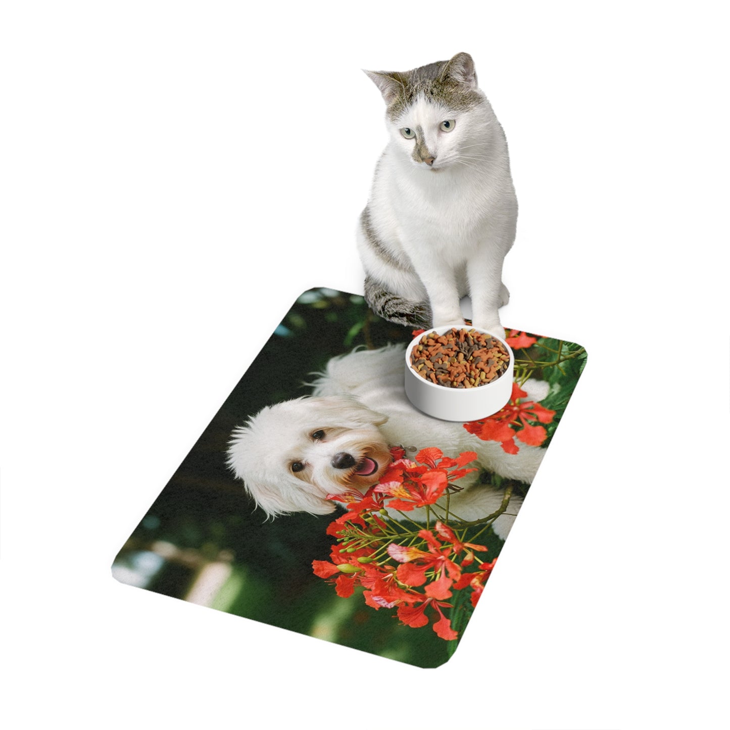 Tapete para comida de mascotas (12x18) - Coton de Tulear