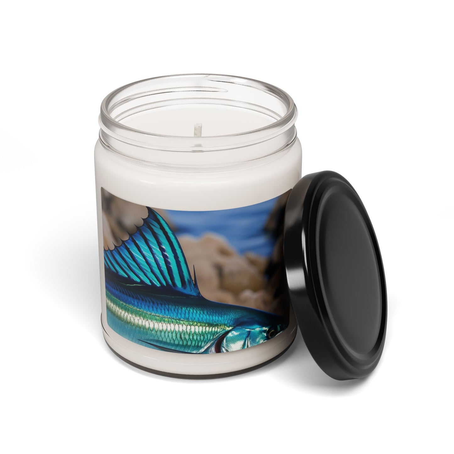 Close Up of a Sailfish's Fin- Scented Soy Candle, 9oz