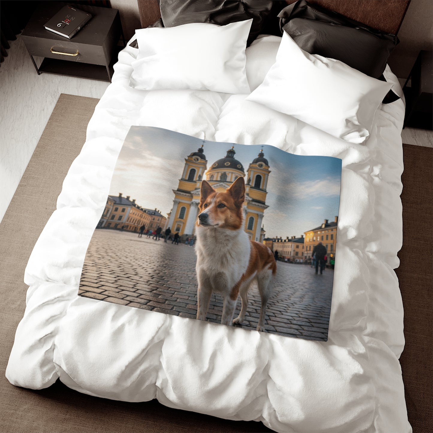 Norrbottenspets Blanket