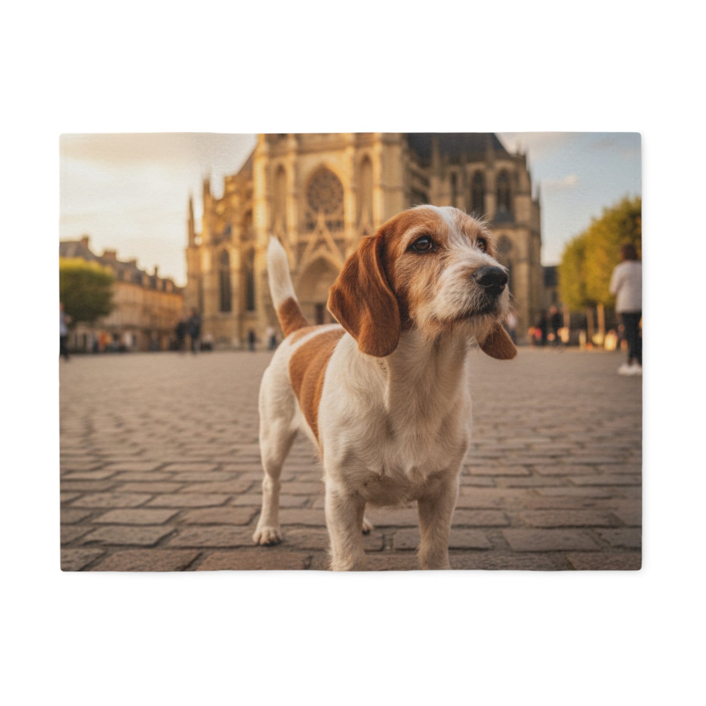 Petit Basset Griffon Blanket